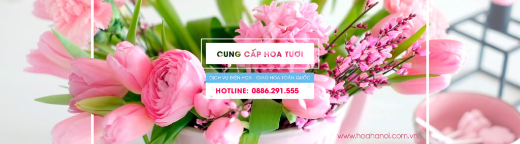 Điện Hoa Hà Nội