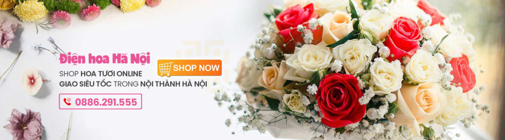 Điện Hoa Hà Nội