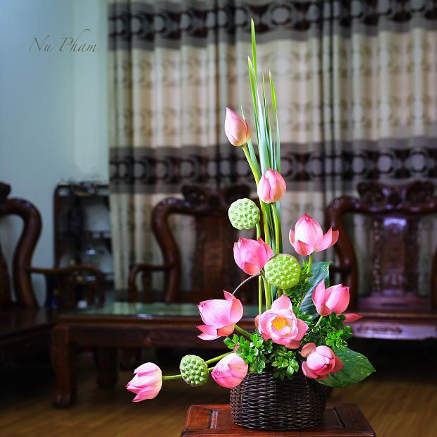 mau-hoa-ainh-nhat-thang-6