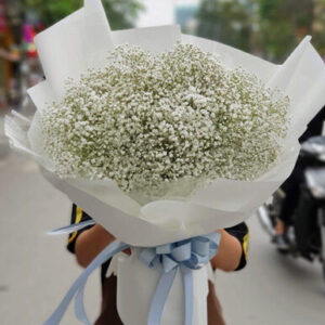 bo-hoa-baby-gia-re-e1599797180969.jpg