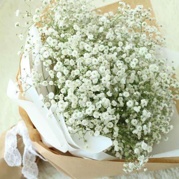 Với màu trắng tinh khôi ánh sáng, hoa baby sẽ mang đến cho bất kì ai những trải nghiệm tuyệt vời nhất. Hãy tìm hiểu từ khóa \