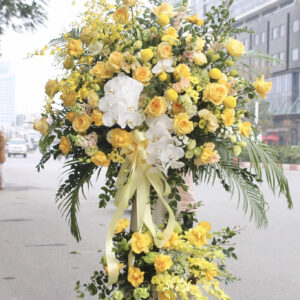 hoa-khai-truong-ha-noi-an-tuong-e1601171071814.jpg