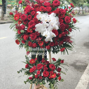 mau-hoa-khai-truong-hong-do.jpg
