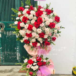hoa-hong-khai-truong-e1649238981553.jpg
